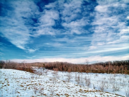 A snowy landscape with sparse trees under a blue sky filled with clouds.
