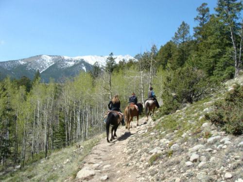 Two riders on horseback trail through a forested path with mountains in the background under a clear blue sky.