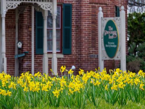 Bright yellow daffodils bloom in front of a brick building with green shutters and a sign for "The Darnley."
