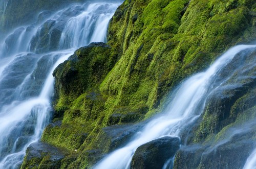 A close-up of cascading water over moss-covered rocks, creating a serene and lush natural scene.