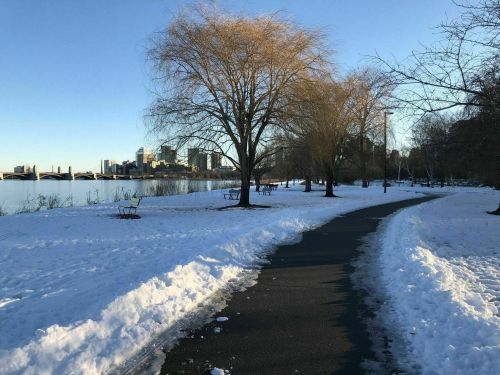 A snowy path along a river with bare trees and a city skyline in the background under a clear blue sky.
