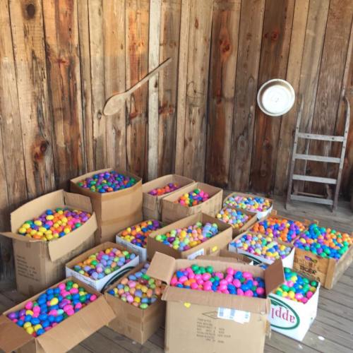 Colorful plastic Easter eggs in various boxes arranged on a wooden floor against a rustic wooden wall.