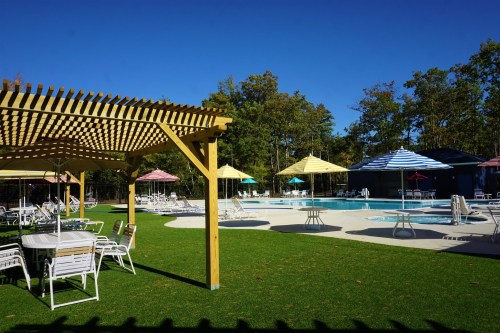 A sunny pool area with lounge chairs, umbrellas, and a pergola, surrounded by trees and a clear blue sky.