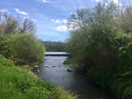 A serene river scene surrounded by lush greenery and trees under a blue sky with scattered clouds.
