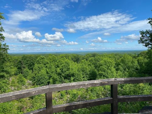 A scenic view from a wooden railing overlooking lush green trees and a blue sky with scattered clouds.