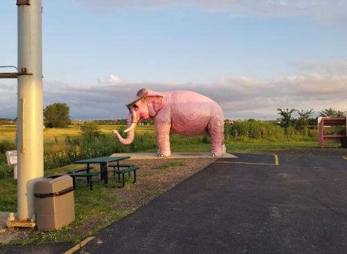 A large pink elephant statue stands in a grassy area, with a picnic table and trash can nearby under a cloudy sky.