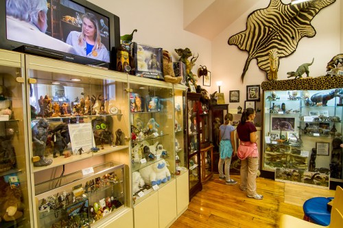 A museum display featuring various animal figurines and taxidermy, with visitors exploring the exhibits.