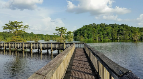 A wooden boardwalk stretches over calm water, surrounded by lush greenery and trees under a blue sky with clouds.