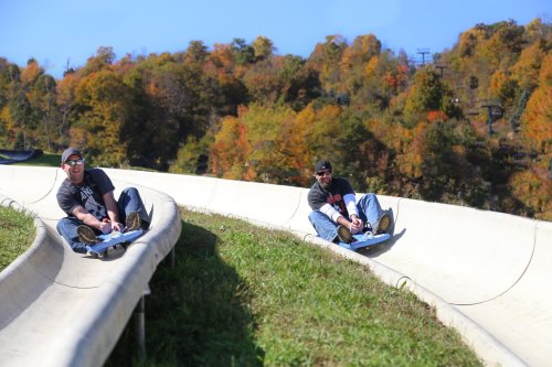 Two men ride down a curved luge track surrounded by colorful autumn trees on a sunny day.