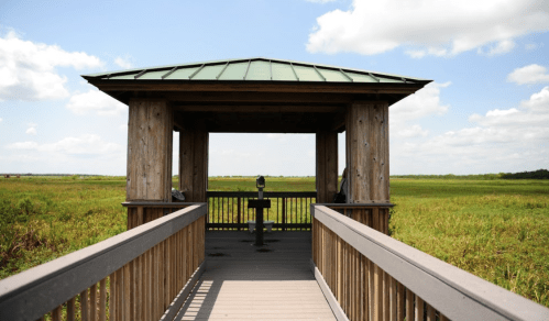 A wooden observation deck with a green roof overlooking a grassy wetland under a blue sky with clouds.