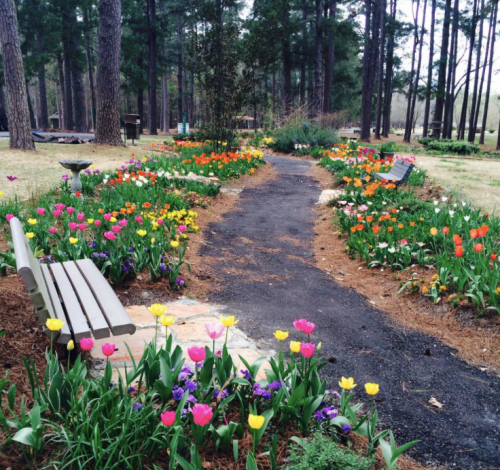 A winding path through a vibrant flower garden with benches, surrounded by tall trees.