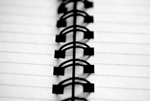 Close-up of a spiral notebook's binding, showcasing black metal spirals against blank lined pages.