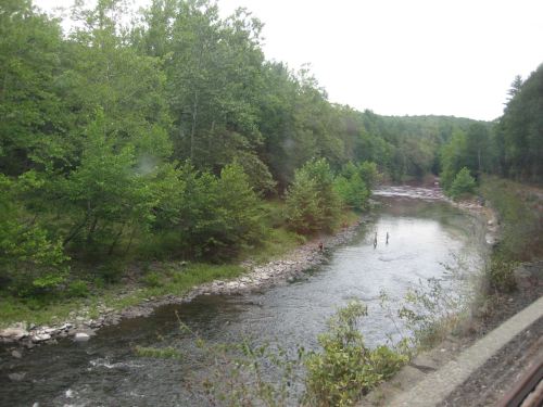 A serene river flows through a lush green landscape, with two people wading in the water.