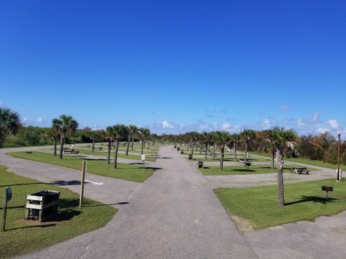 A wide view of a park with palm trees, picnic tables, and a clear blue sky. Paths lead through the grassy area.
