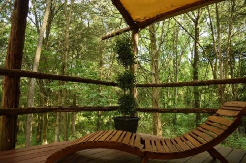 A wooden lounge chair on a deck surrounded by lush green trees, with a potted plant nearby.