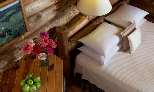 Cozy cabin bedroom with a log wall, white bedding, a vase of flowers, and a bowl of green apples on a wooden table.