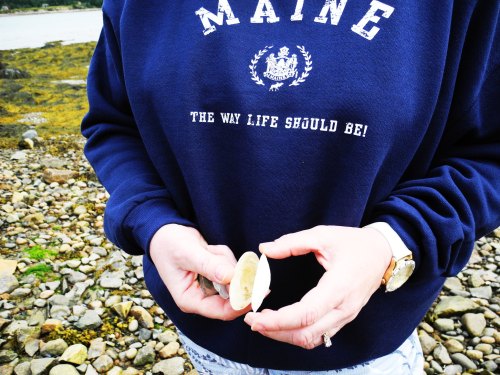 A person in a navy sweatshirt holds a small shell while standing on a rocky beach.