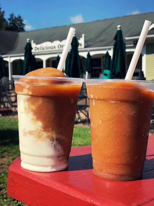 Two cups of frozen drinks, one with a swirl of ice cream, sit on a red table with a sunny outdoor setting in the background.