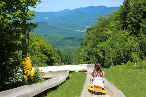 A child rides a summer slide down a green hillside, with mountains and blue sky in the background.