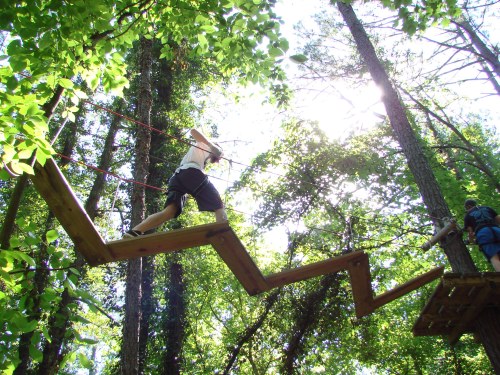 A person navigates a zigzag rope bridge high in a forest, surrounded by lush green trees and sunlight.