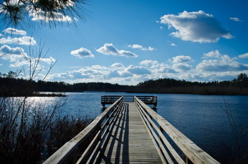 A wooden pier extends into a calm lake under a bright blue sky with fluffy clouds. Surrounding trees are visible.