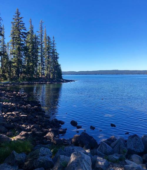 A serene lake surrounded by tall trees and rocky shores under a clear blue sky.
