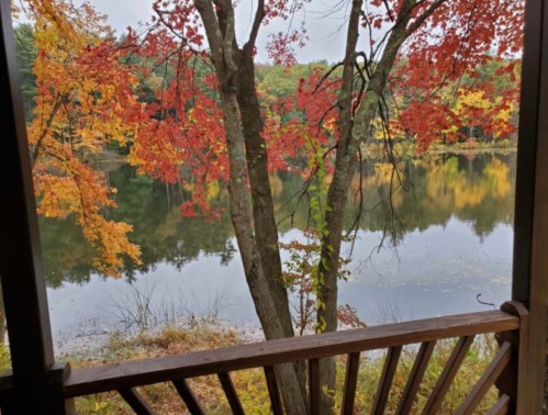 A serene view of a lake surrounded by trees with vibrant autumn foliage reflecting on the water.