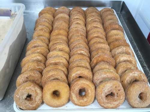 A tray filled with neatly arranged, golden-brown donuts coated in cinnamon sugar.