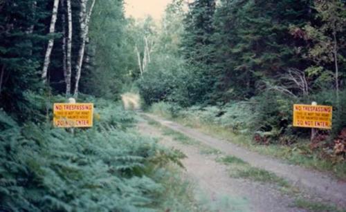 A dirt path in a forest with two "No Trespassing" signs on either side, surrounded by trees and ferns.
