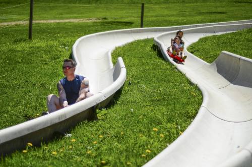 A man sits on a slide while a child rides down another slide, both on a grassy hill with dandelions.