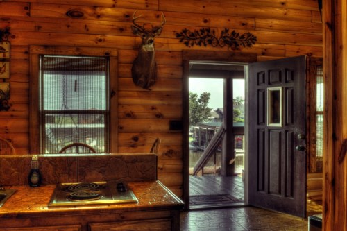 Cozy wooden cabin interior with a deer head mount, kitchen area, and an open door leading outside.