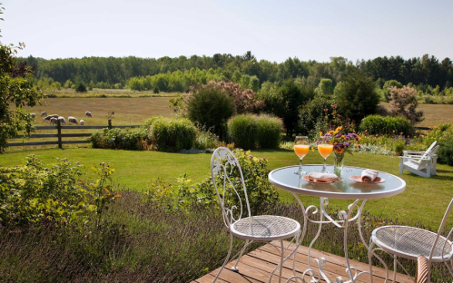 A serene outdoor setting with a table for two, drinks, and a view of a lush field and grazing sheep.