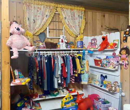 A cozy playroom with shelves of toys, colorful clothes hanging, and stuffed animals on display. Bright curtains add charm.