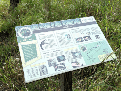 Information sign about wildlife, including mammals, birds, reptiles, and amphibians, in a natural area.