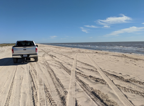 A pickup truck parked on a sandy beach with tire tracks leading towards the water under a clear blue sky.