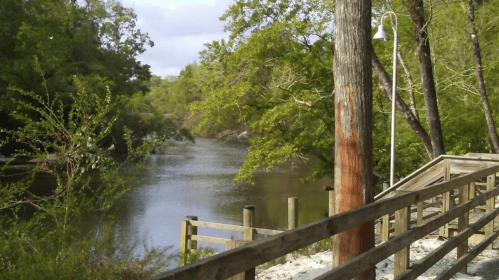 A serene river scene surrounded by lush greenery and wooden walkways under a cloudy sky.