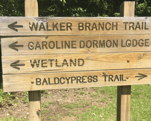 Wooden signpost with directional arrows for Walker Branch Trail, Caroline Dormon Lodge, Wetland, and Baldcypress Trail.