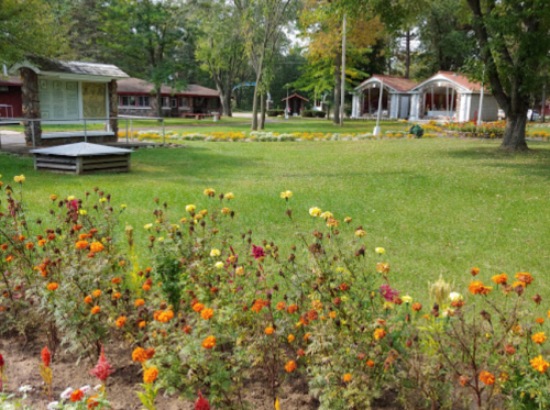 A vibrant garden with colorful flowers in the foreground and rustic buildings in a green park setting.