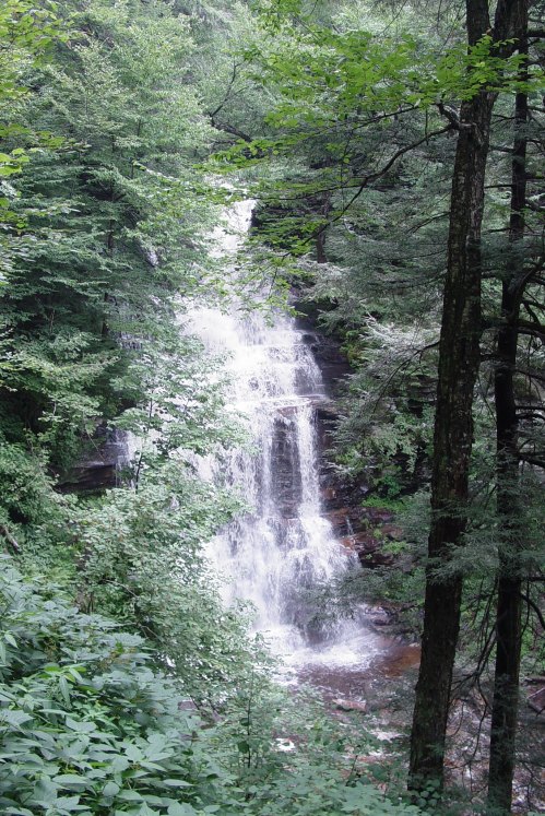 A serene waterfall cascading down rocky steps, surrounded by lush green trees and foliage.