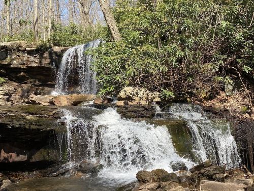 A serene waterfall cascades over rocks, surrounded by lush greenery and trees in a peaceful forest setting.