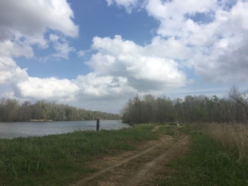 A serene riverbank scene with a dirt path, lush grass, and cloudy skies reflecting over the water.
