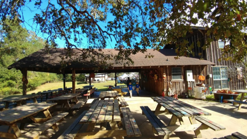 A rustic outdoor pavilion with wooden picnic tables, surrounded by trees and a clear blue sky.