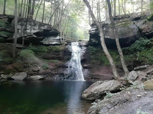 A serene waterfall cascades into a tranquil pool, surrounded by lush trees and rocky cliffs.
