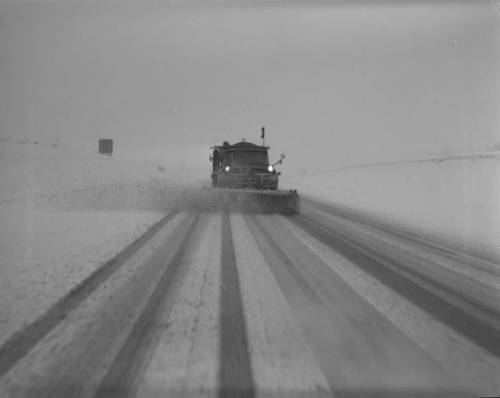 A snowplow clears a snowy road, creating visible tire tracks in the fresh snow under overcast skies.