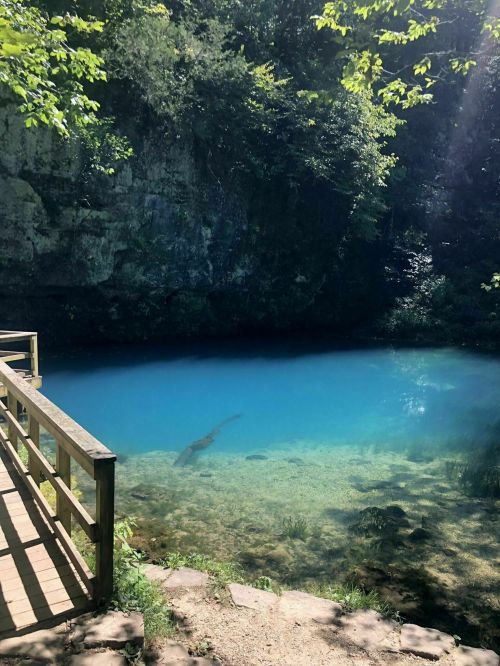 A serene blue pond surrounded by lush greenery and rocky cliffs, with a wooden walkway in the foreground.