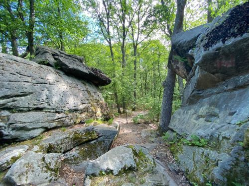 Walk Through Rock Formations At Pennsylvania's Beartown Rocks