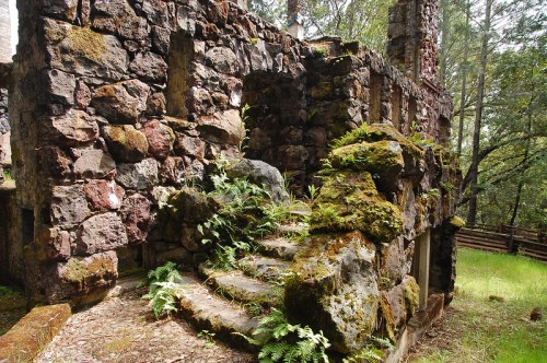 Ruins of a stone structure overgrown with moss and ferns, surrounded by trees in a lush green setting.