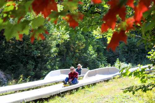 Two people enjoy a summer slide surrounded by green trees and vibrant red leaves.