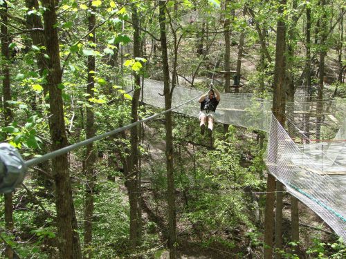 A person zip-lining through a lush green forest, surrounded by trees and a suspended walkway.