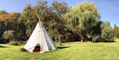 A white teepee tent in a grassy area surrounded by trees and a second dome-shaped structure in the background.